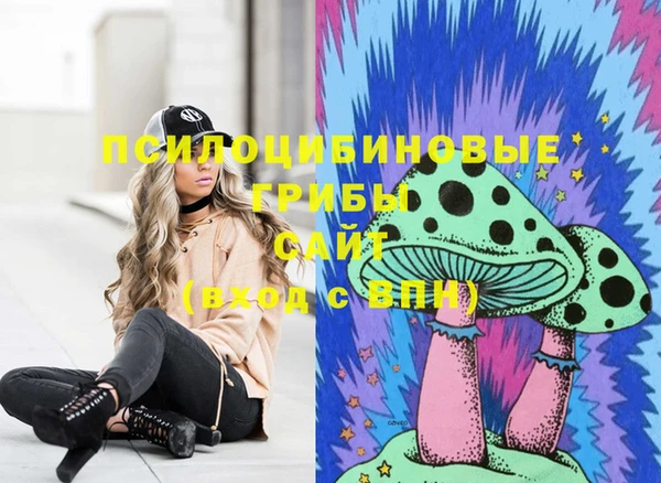 МДМА Белокуриха