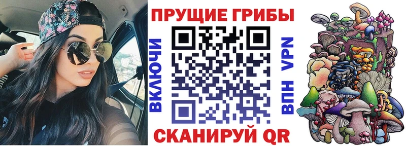 где купить наркотик Шумиха Псилоцибиновые грибы MAGIC MUSHROOMS